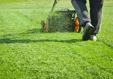 DIY Lawn Care-- Worth It?