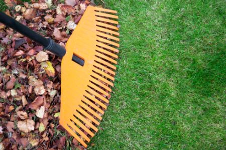 Property Cleanups